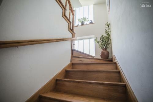 Villa Vila Ema