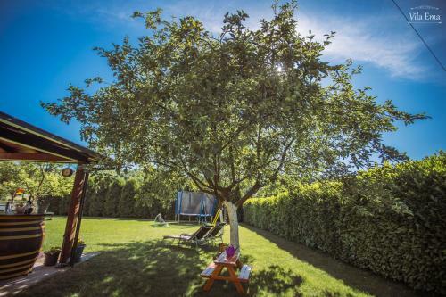 Villa Vila Ema
