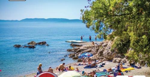 Apartman Hortenzia 4