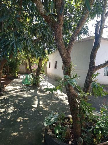 Bem-te-vi Casatemporada