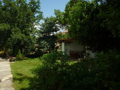 Apartamentos Leona