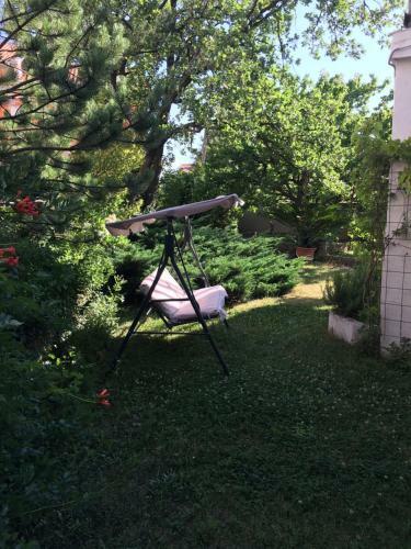 Apartamentos Leona