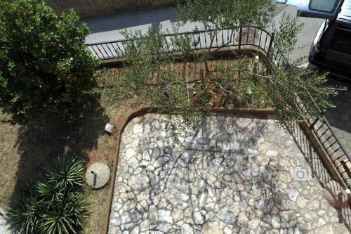 Apartman Branka