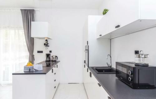 Apartment Vidas