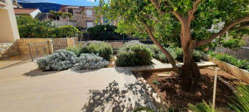 Apartments Villa Beba