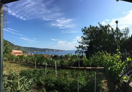 Vigo Studio Apartman