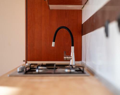 Apartment Mir