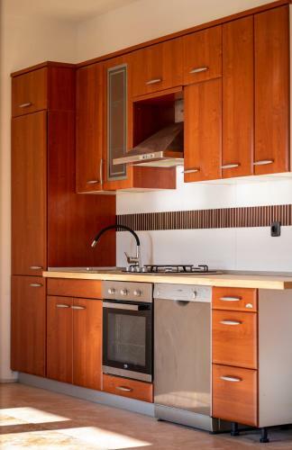 Apartment Mir