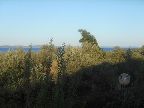 Apartmani Ankica