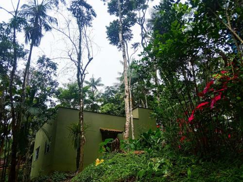 A Bela Casa Da Floresta!
