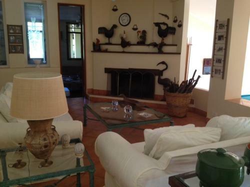 Sitio Beira Rio
