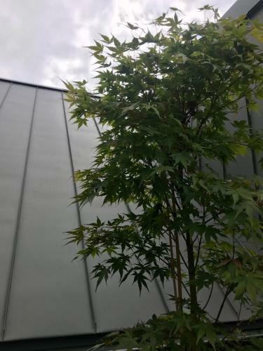 Villa Patch House Glengarriff
