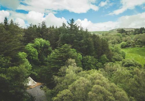 The Botanical Bell Tent