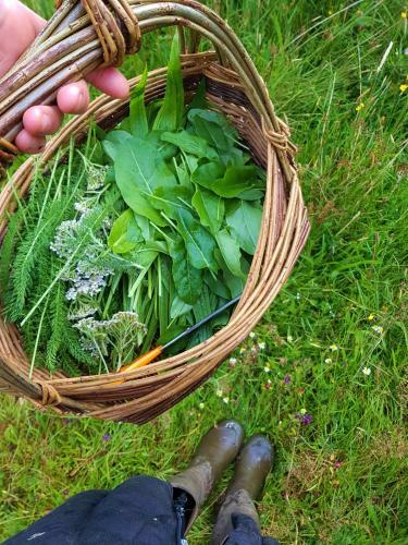 The Botanical Bell Tent