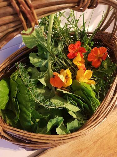The Botanical B&B