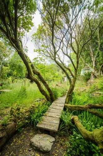 The Botanical B&B
