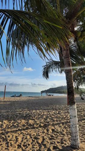 Japarati Praia Al