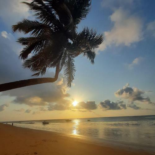 House Beach Japaratinga