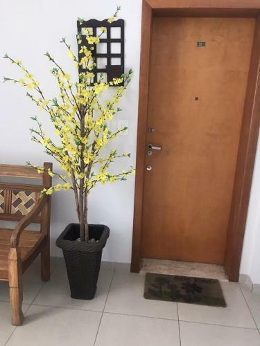Apartamento Centro Lavras