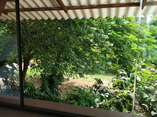 Quintal Do Cont�iner - Su�te Mar E Su�te Terra