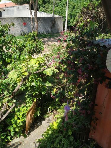 Quintal Do Cont�iner - Su�te Mar E Su�te Terra