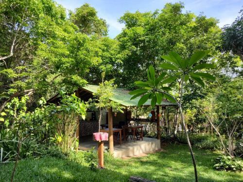 Casa Viva A Vida B&B