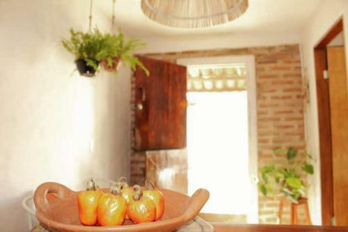 Casa Inteira, Jeri