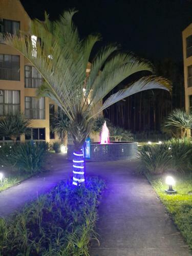 Apartamento Ref�gio Na Natureza- Reserva Do Sahy