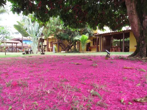 Hotel Chal� Sol Da Barra
