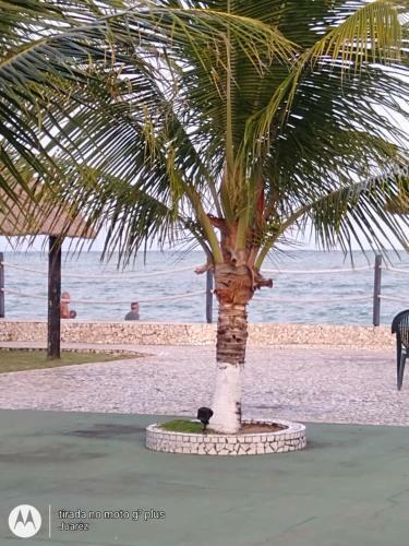 Chal� 46 Praia de Peroba Maragogi Al
