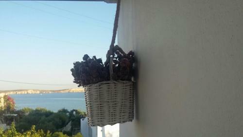 Apartamento Kelly's