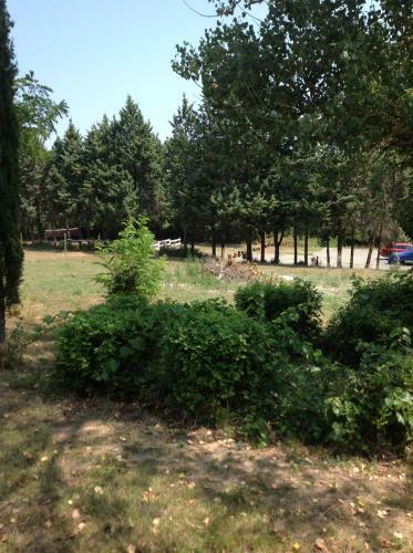 Bed & Breakfast La Sauzette