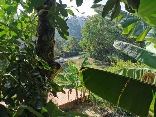 Lodge Chal� Mau� Conforto E Arte