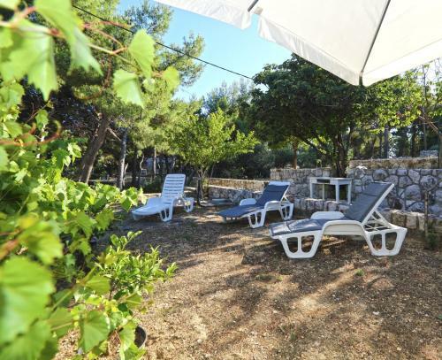 Villa Hosta Apartments