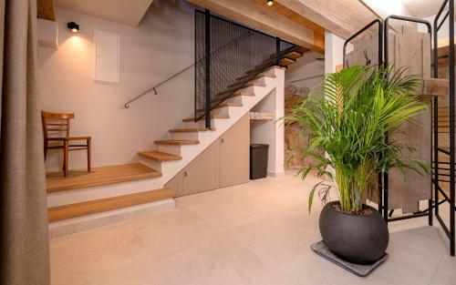 Beautiful Villa Authentic