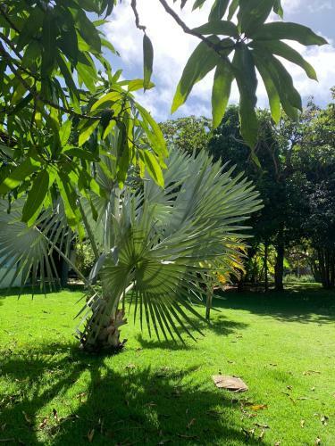 Resort Villas Do Pratagy
