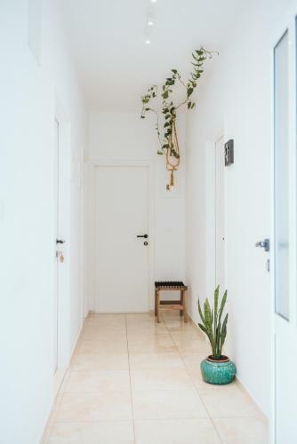 Hostal Anatota Hvar