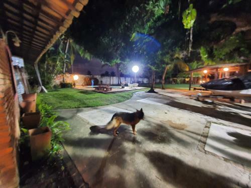 Casa Barra Nova