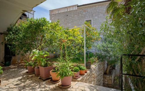 Apartment Nika - Hvar
