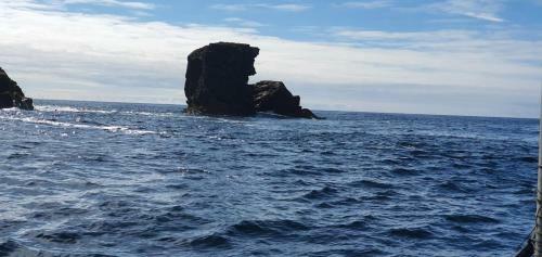 Shallow Sea Point