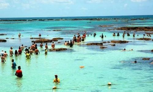 Apartamento 2 Quadras Da Praia Do Franc�s-alagoas