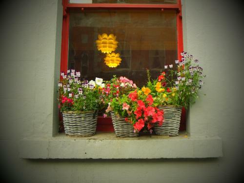 Kilkenny Tourist Hostel