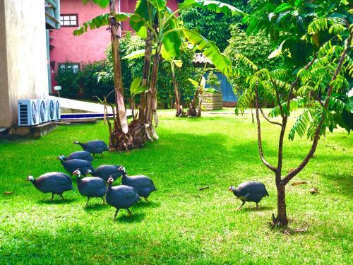 Apartamento Villas Do Pratagy