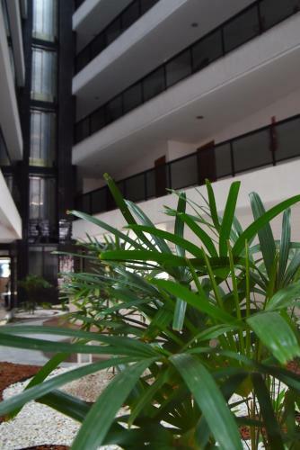 Apartamento Sol De Macei�
