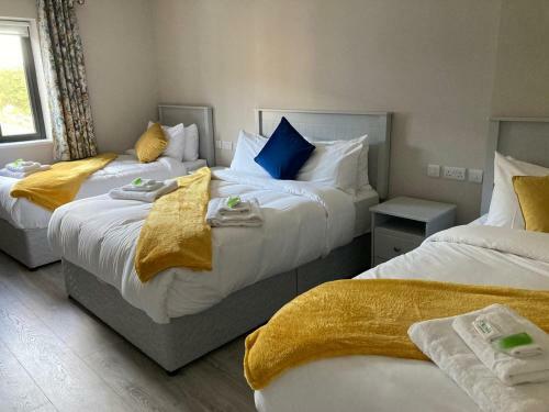 Bed & Breakfast The Leitrim Inn And Blueway Lodge