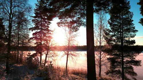 Albergue Furudals Vandrarhem Och Camping