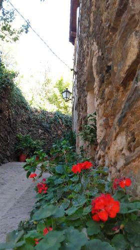 Apartamento Los Balcones Del R�o