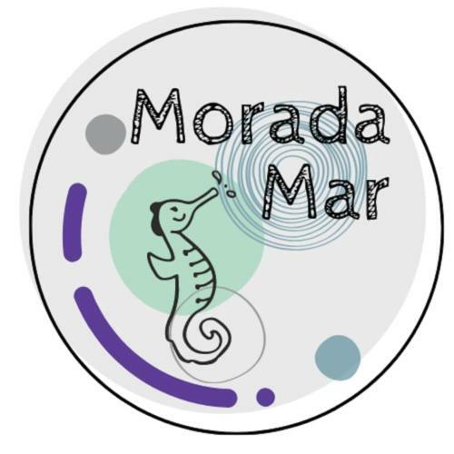 Apartamento Morada Mar Com Vista Da Linda Ponta Verde - Macei�