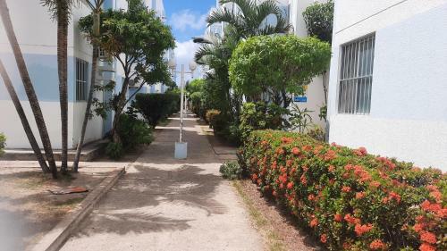 Apartamento Apto Marceio