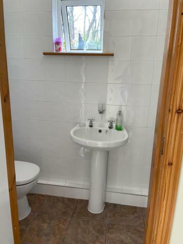 Bed & Breakfast Athenry Lodge